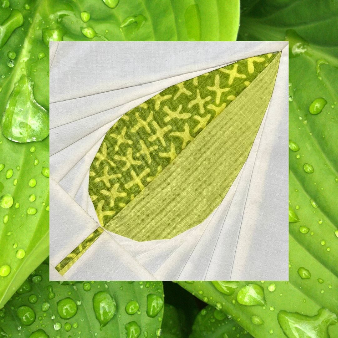 Week 1 of the Back To Nature QAL.  Leaf paper pieced pattern designed by Sheri from @wholecirclestudio #backtonatureqal #paperpiecing