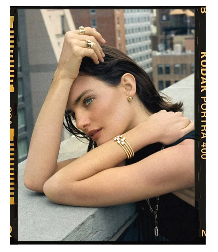 Film+roof+large+4x5++copy.jpg