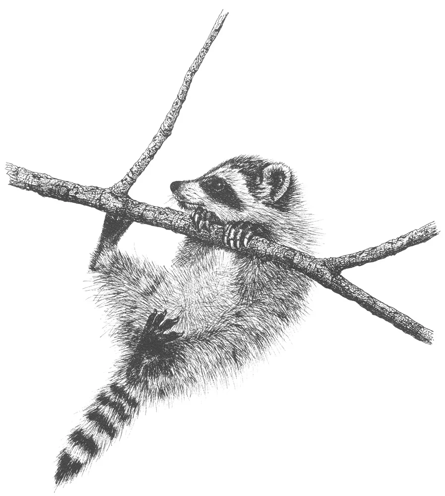 Hang in There.jpg