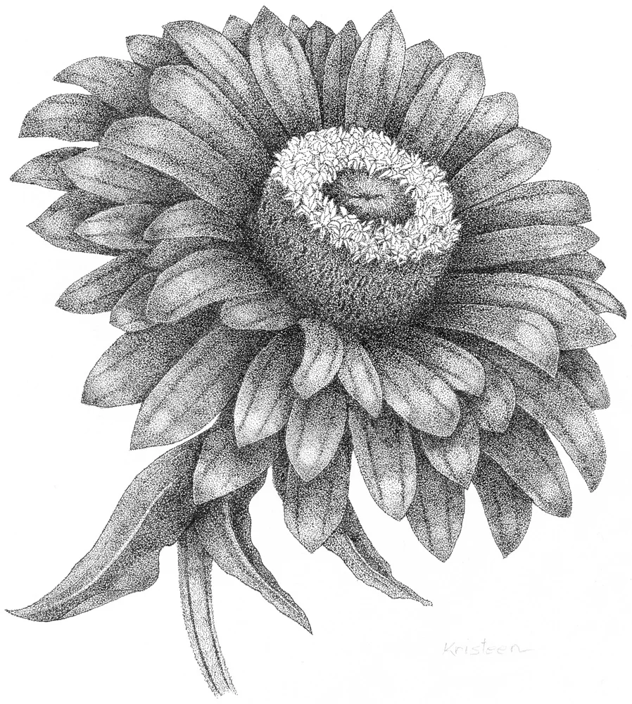Flower.jpg