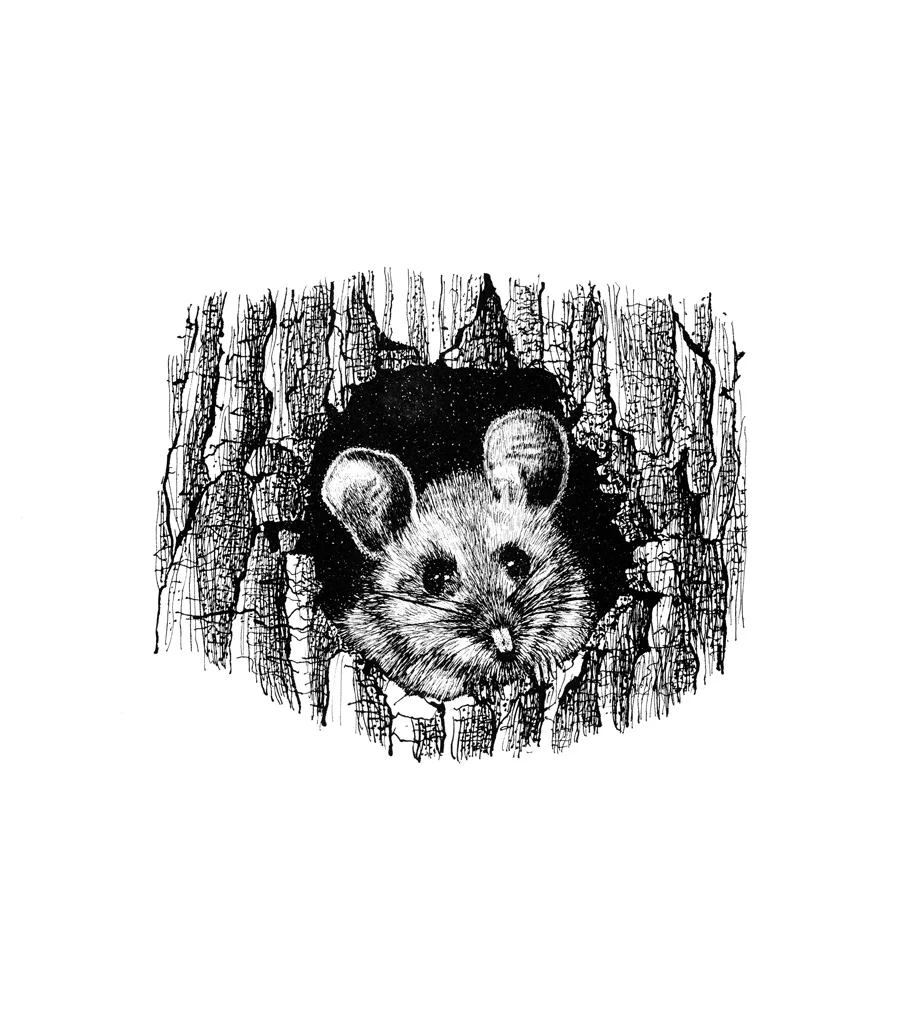 mouse-1.jpg