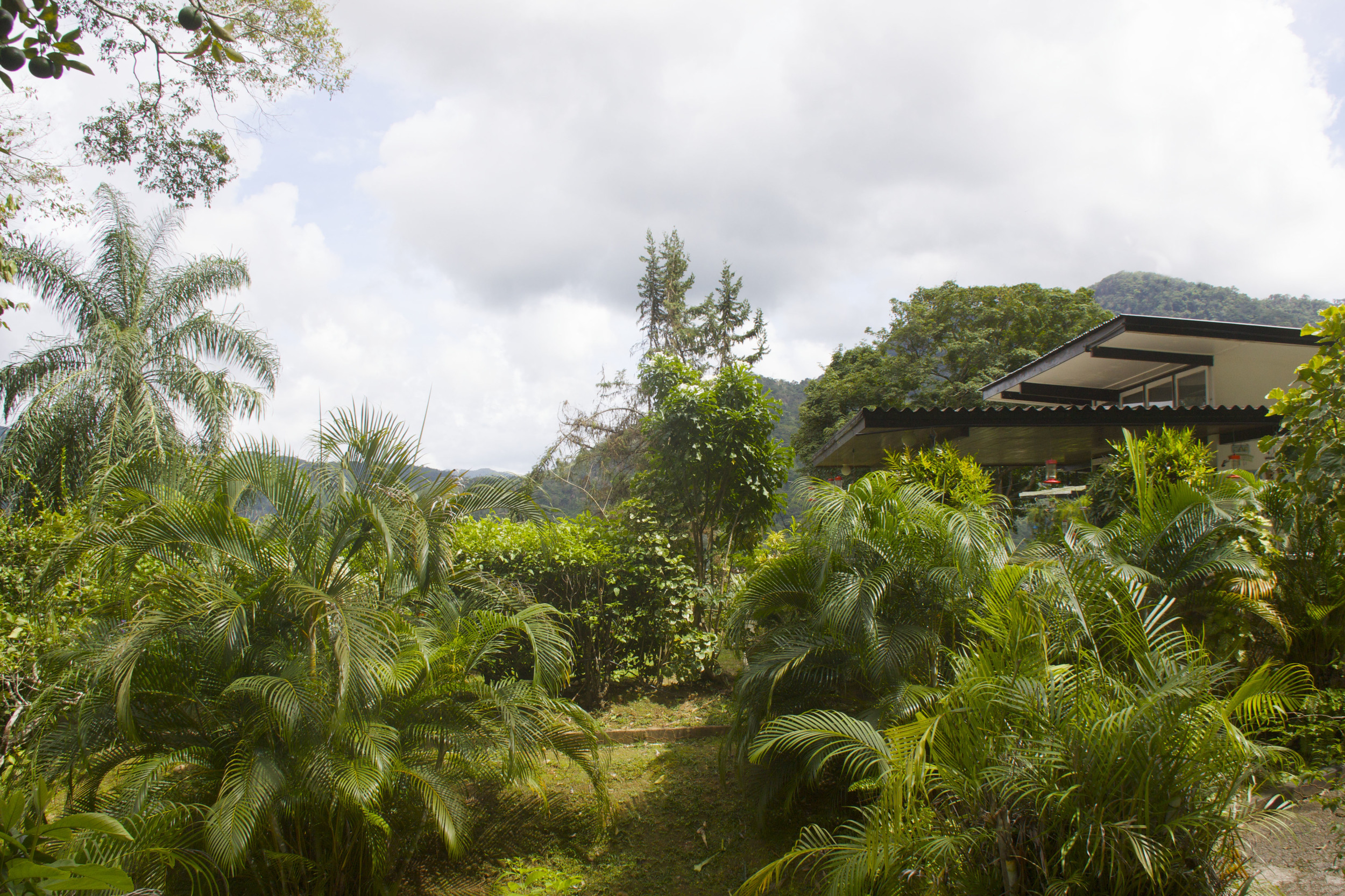 IMG_8119 - Version 2.jpg