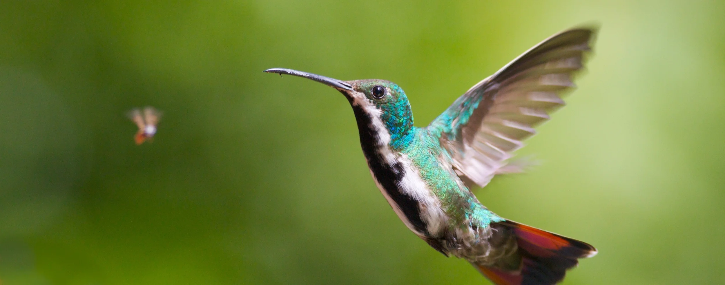 IMG_1388 - Version 2.jpg