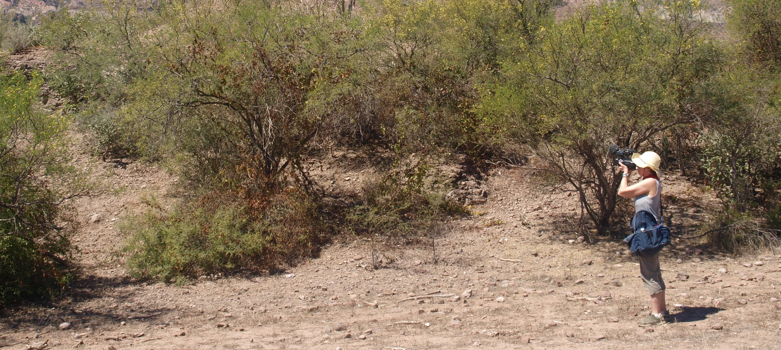 P2238231 for banner.jpg