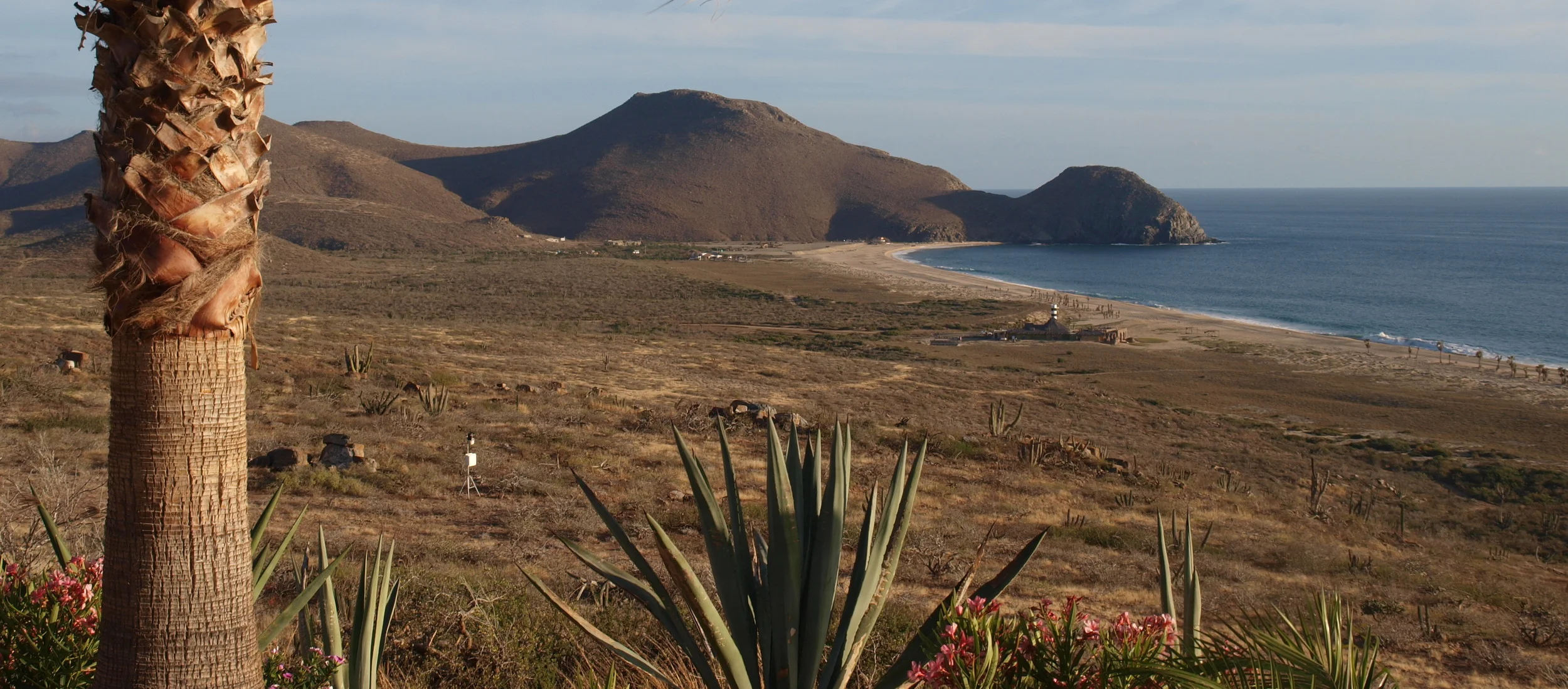 P3018452 for banner.JPG