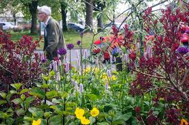 Incredible Edible
