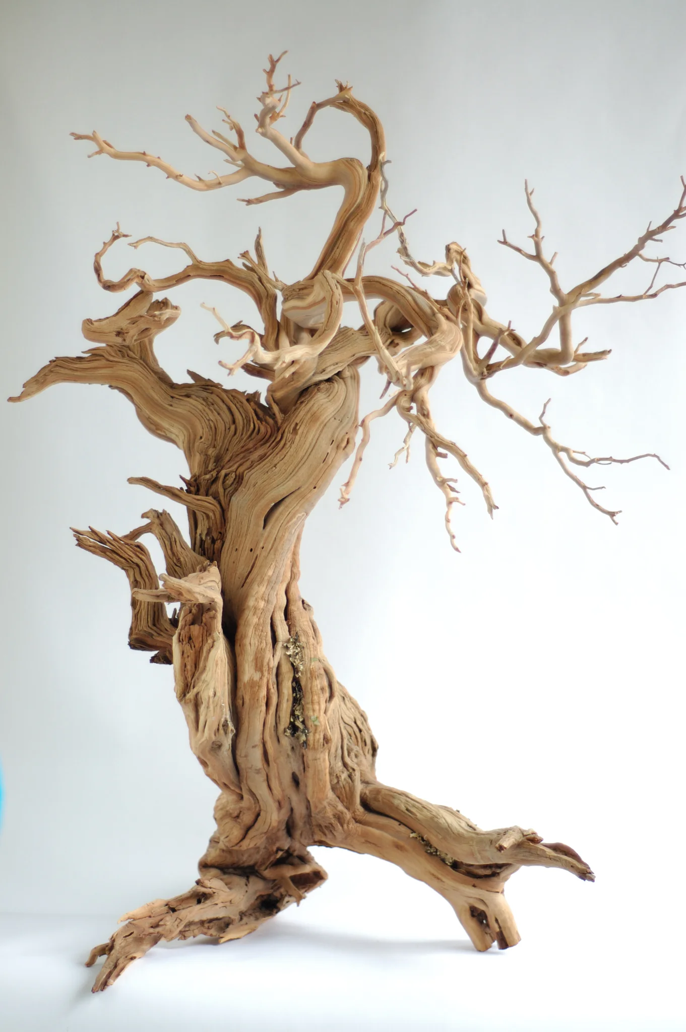 #WeddingWednesday: Manzanita and Driftwood and Grapevine, oh my!