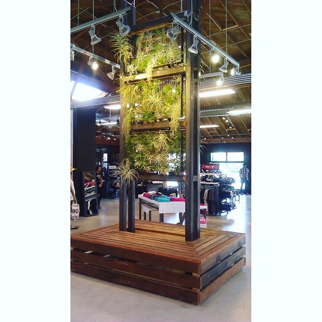 Custom created Green Wall we made for our friends over at @quiksilver - came out great and brings lots of life to the space! .
.
.
Inquiries send to info@ccdesignla.com