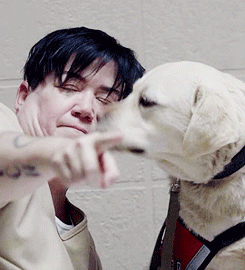 tumblr_n679lnvuvx1qg0u4go4_250.gif