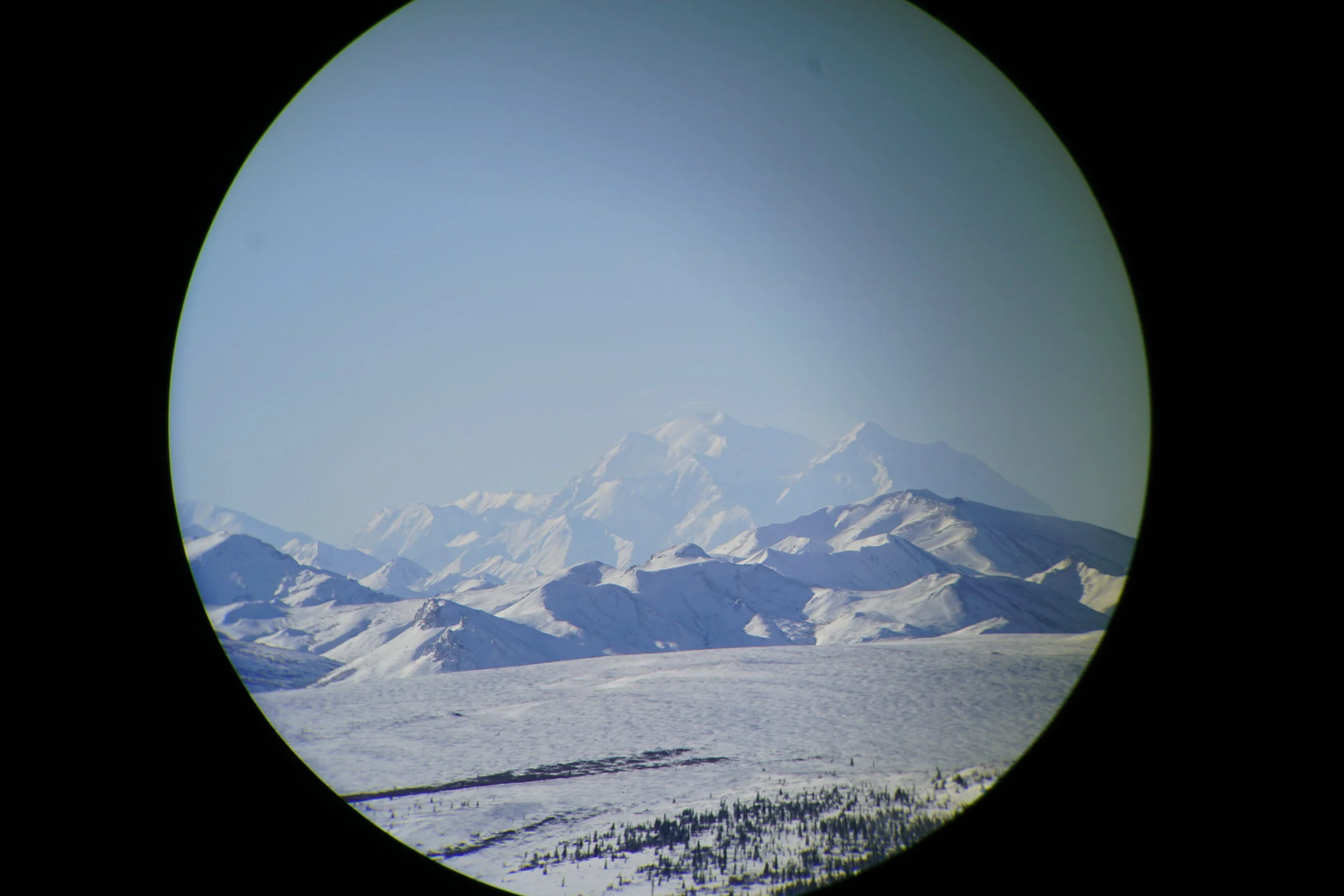 I was a Denali National Park & Preserve Artist-in-Residence in February 2018. More images and finished artwork will be posted soon!