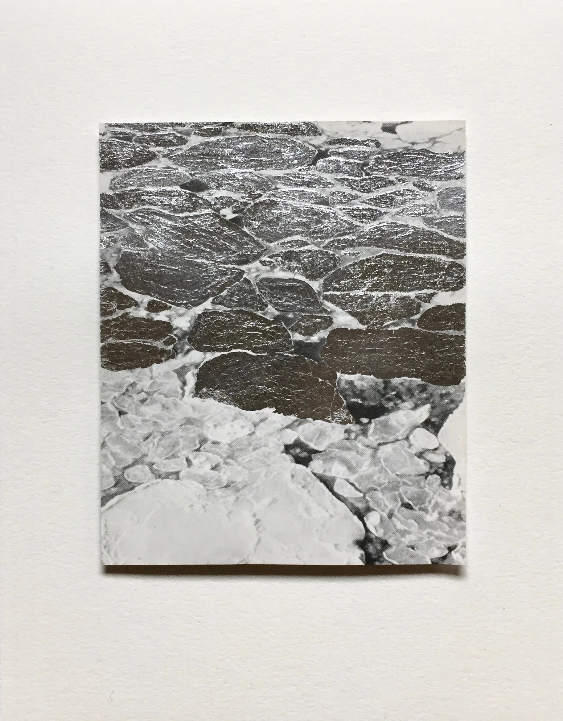 Discontinuity