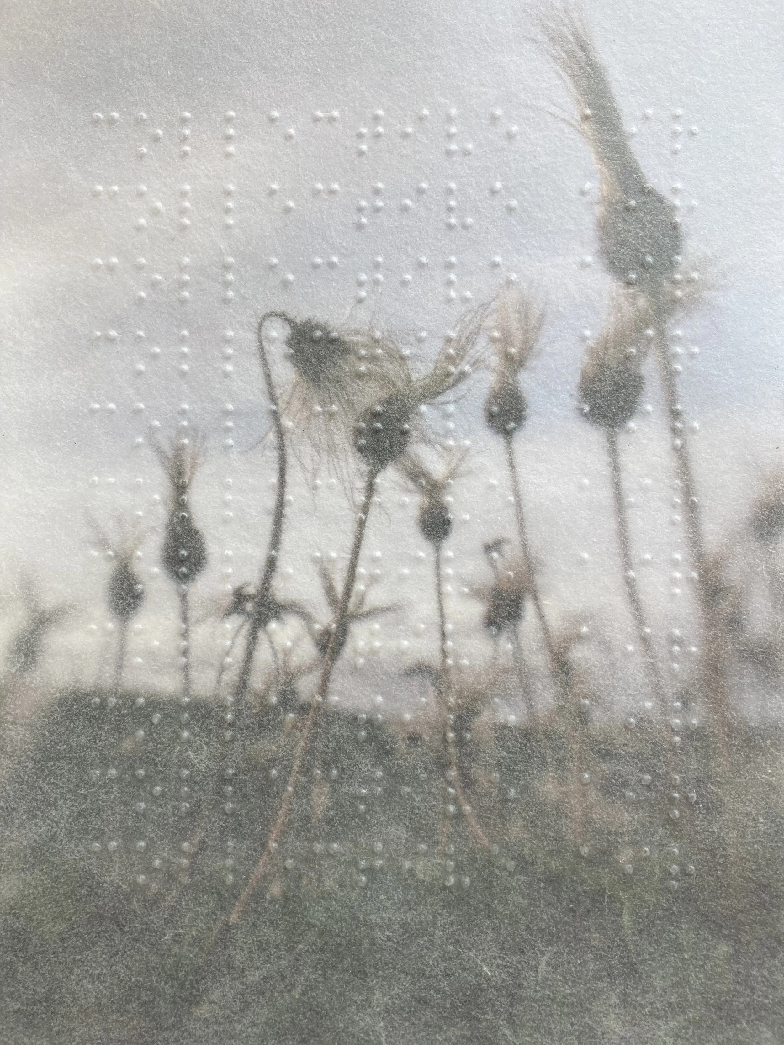 Alaska Biennial at the Anchorage Museum