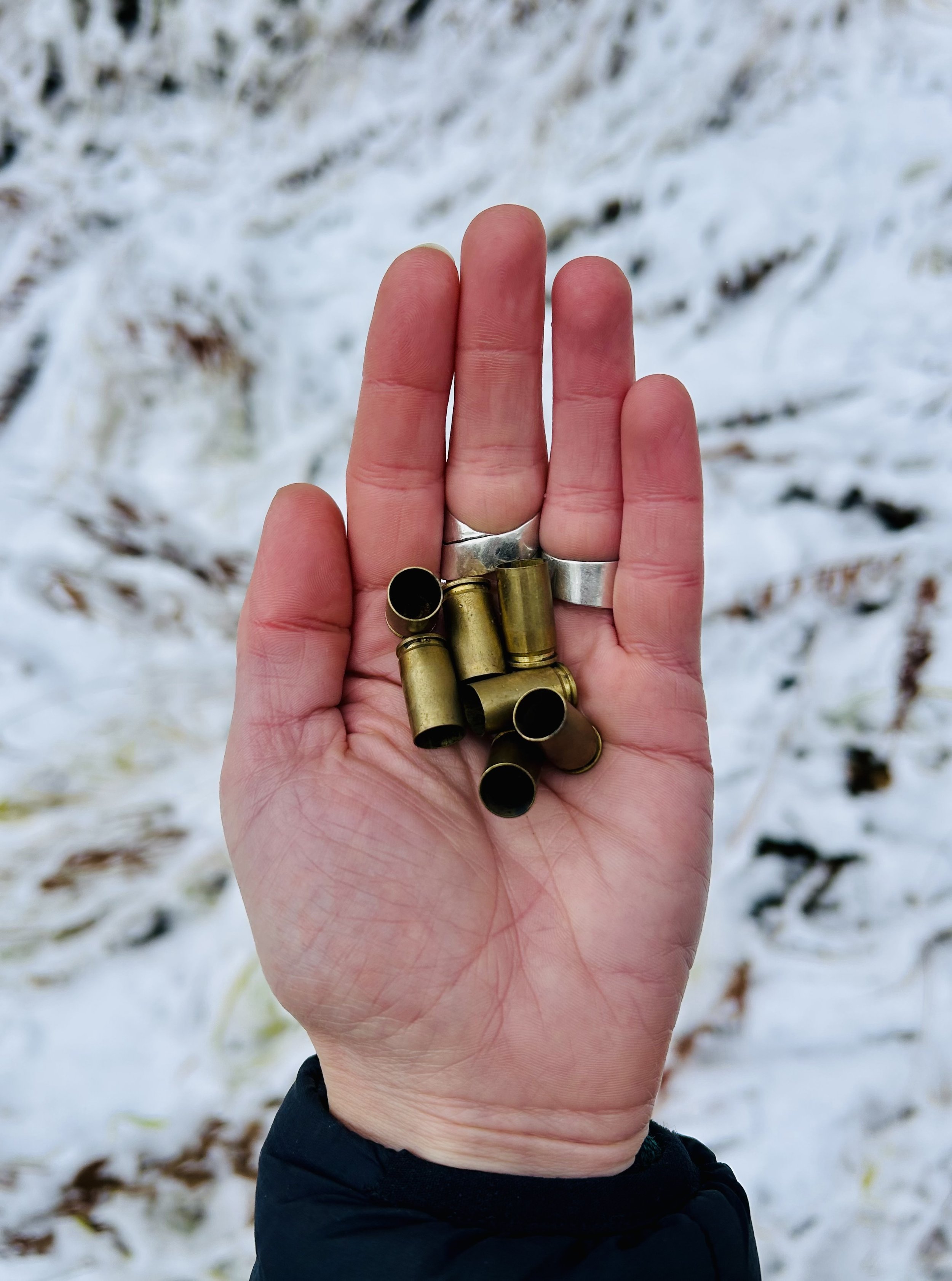 Alaska Positive 2025