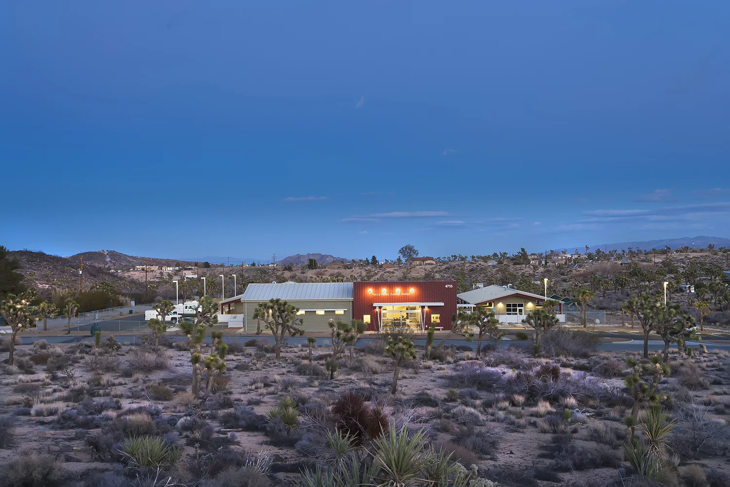 Yucca Valley Animal Shelter