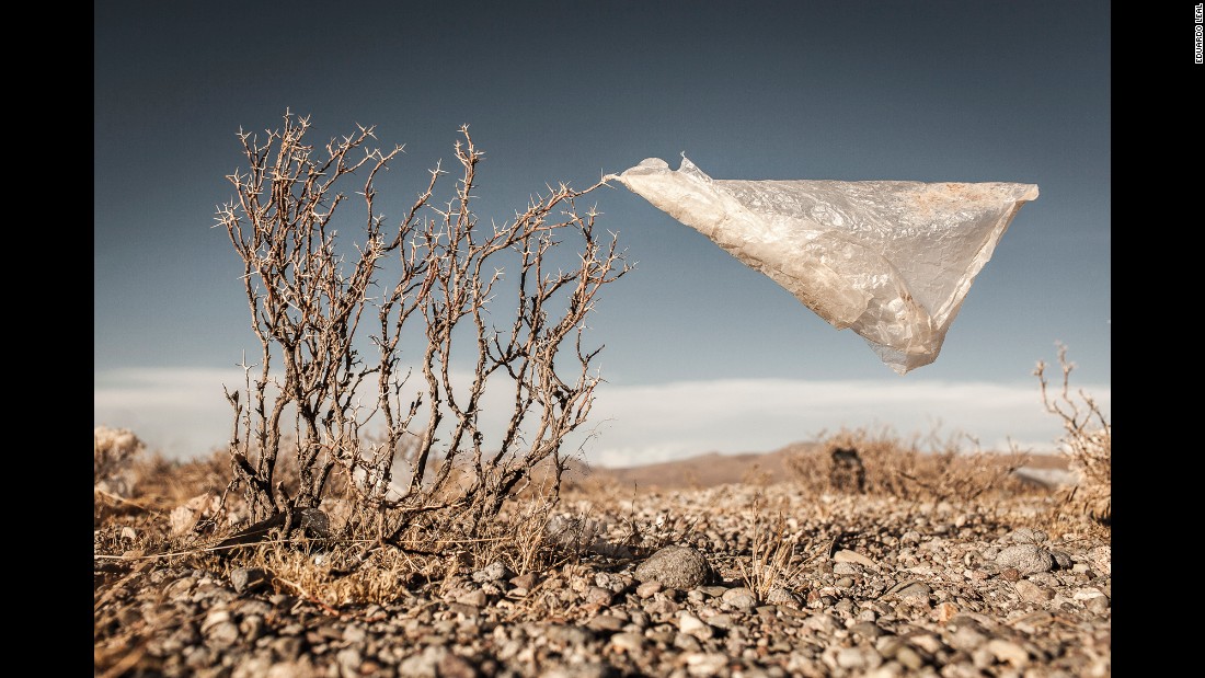 plastic_trees2.jpg