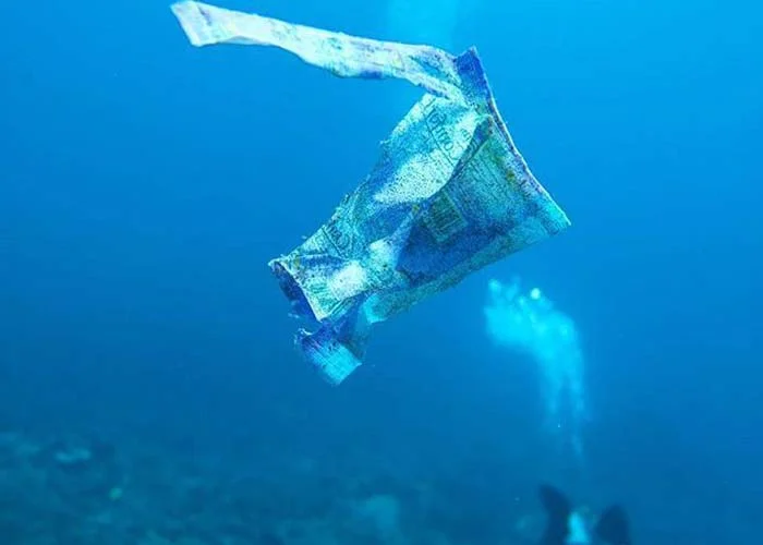pa36.jpg