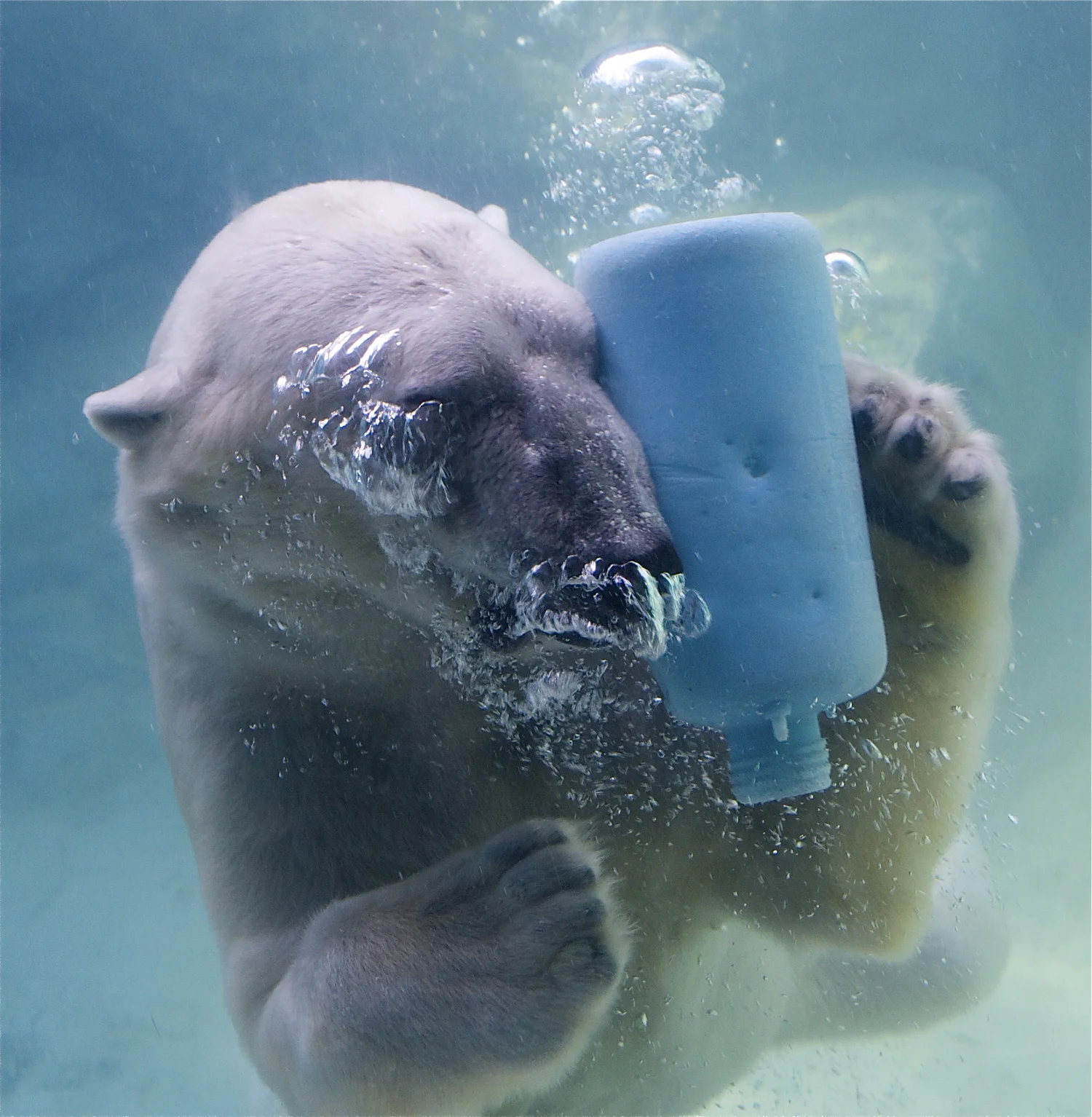 Plastic Pollution And Climate Change Plastic Pollution Coalition