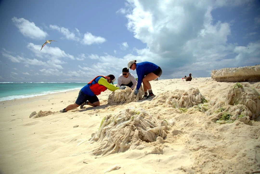 Midway Through Cleaning Up Midway Island