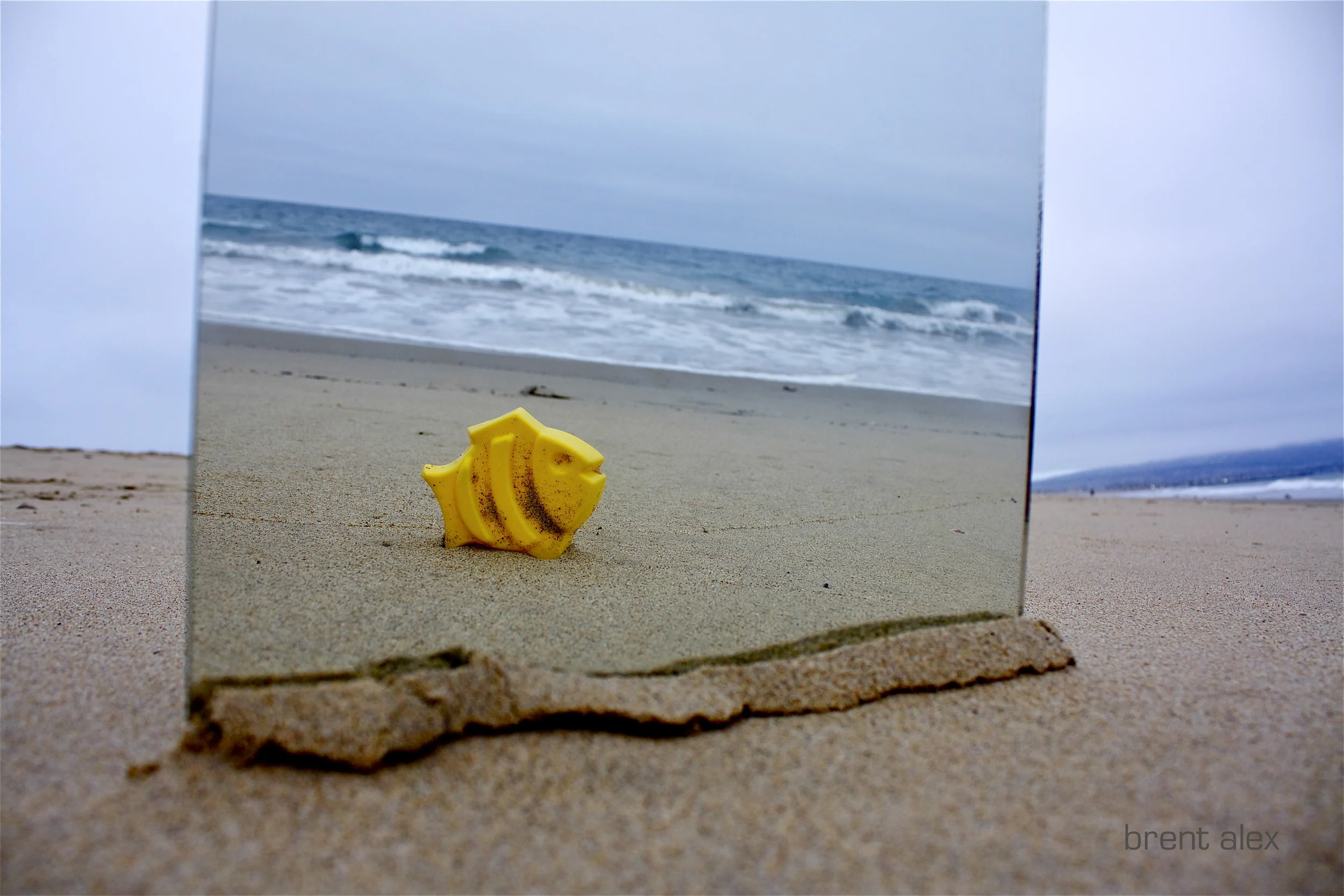 fish+pollution+mirror.jpg