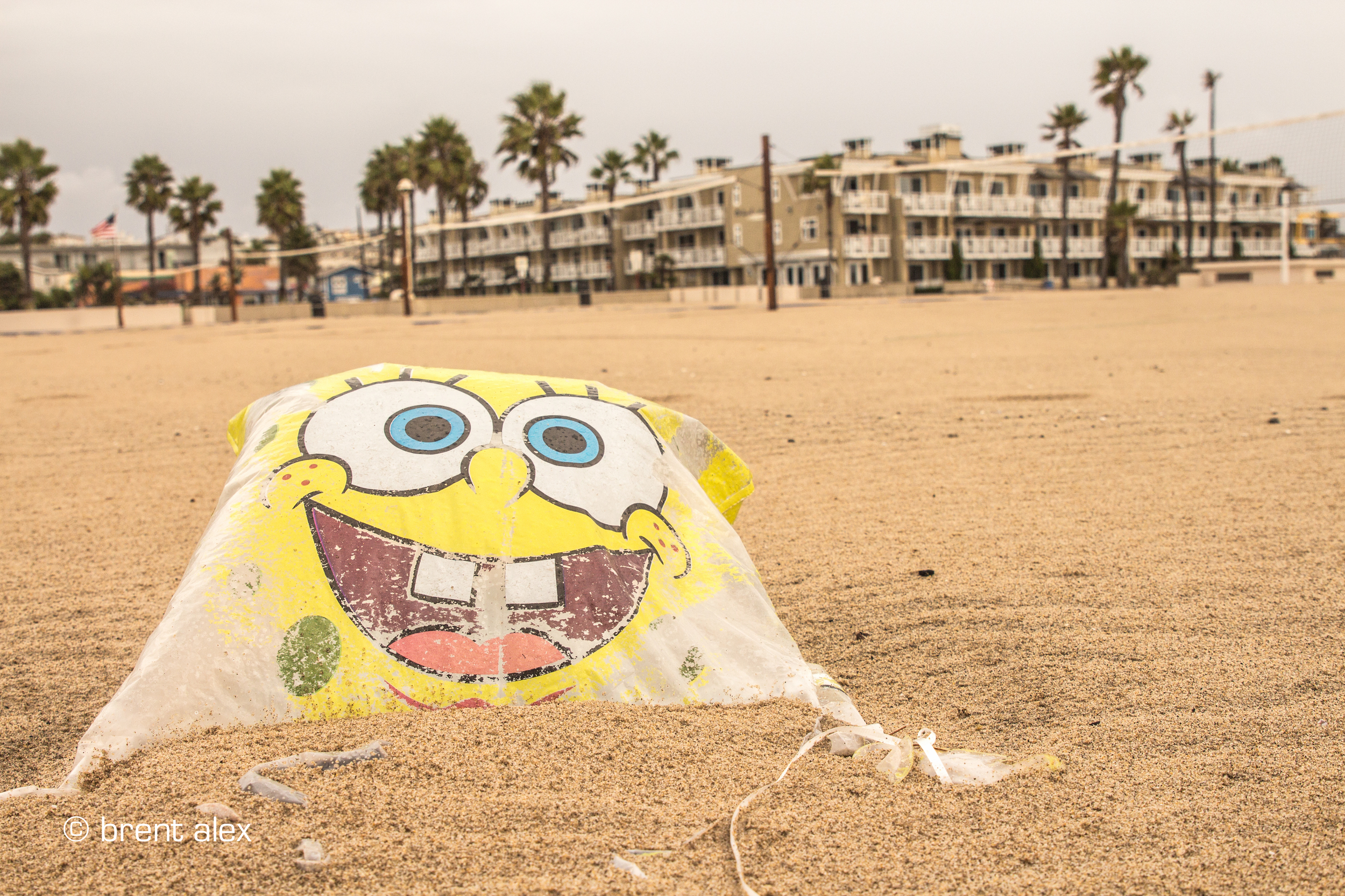 sponge+bob+square+trash-2.jpg