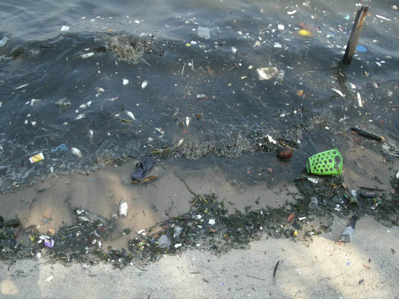 8 Eco-Ironies at the Summer Olympics in Rio