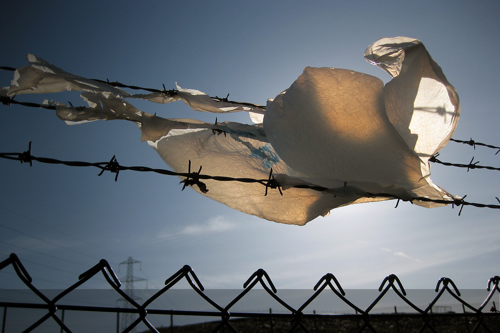 Take Action: Support California's Plastic Bag Ban