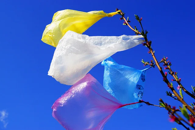 Can California Finally Ditch Single-Use Plastic Bags?