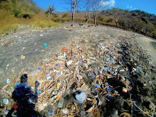 From Bali to Komodo: Documenting Plastic Pollution on Remote Islands of Indonesia