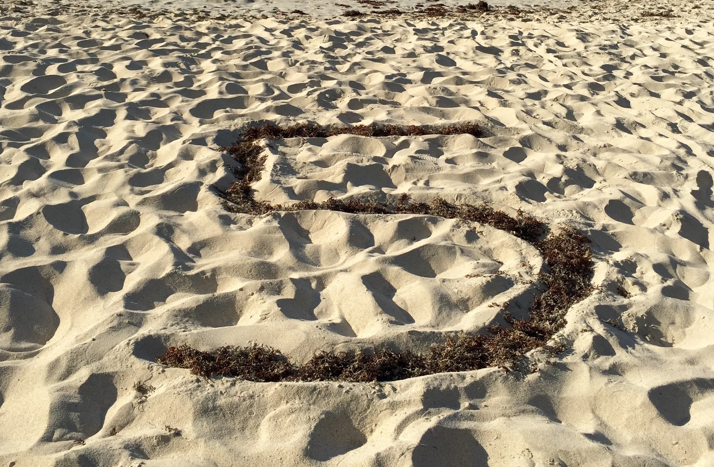 5 Ways to Reduce Plastic for the Holidays