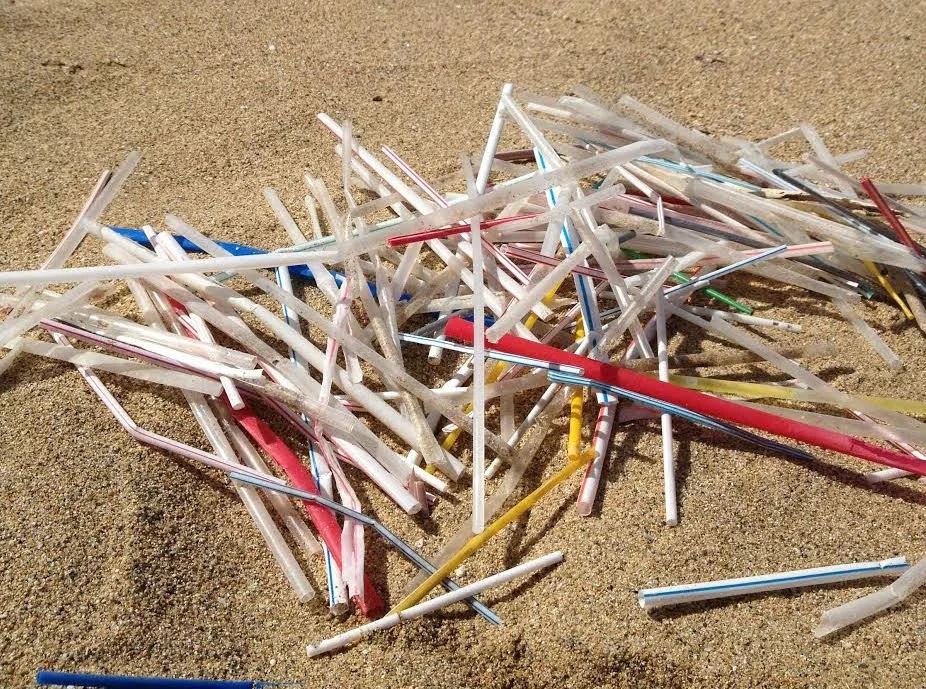 The Problem of Plastic Straws (And How Each of Us Can Make a Difference)