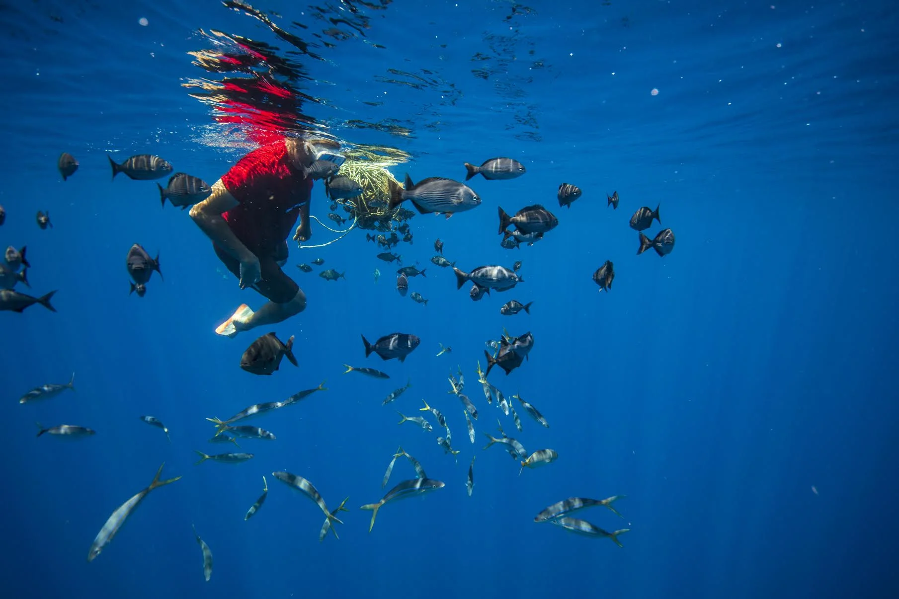 Actors and Activists to Highlight 'Voices 4 Oceans' on Mar. 23