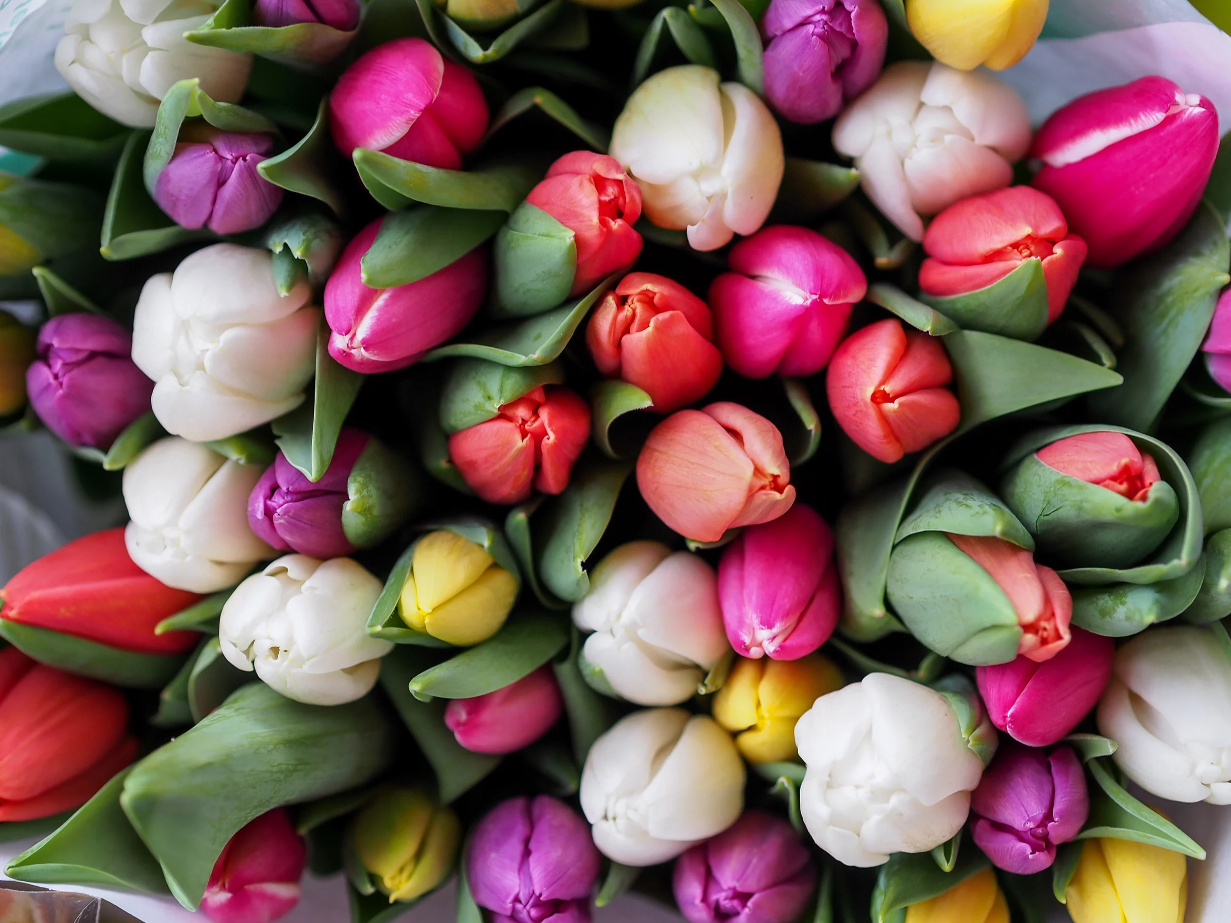 25 Ideas for a Plastic Free Passover and Easter