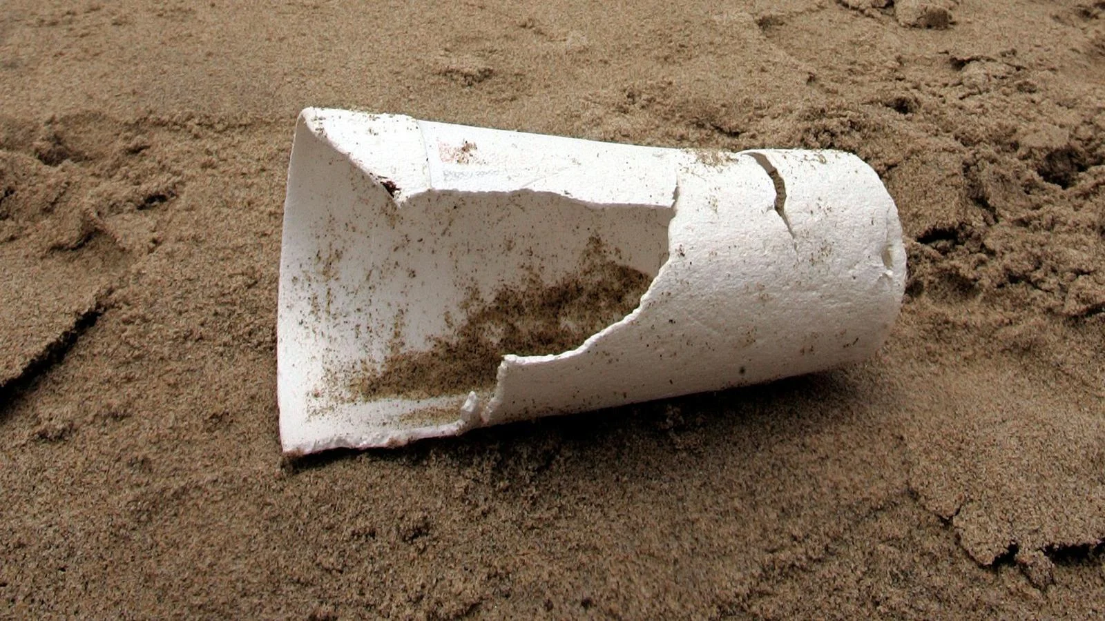 California, Let's Ban Polystyrene