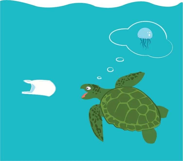 Why won't Florida ban plastic bags?