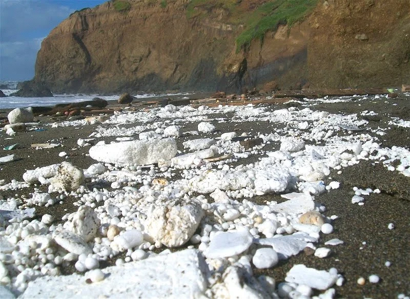 Coastal Cleanup Goes #FoamFree