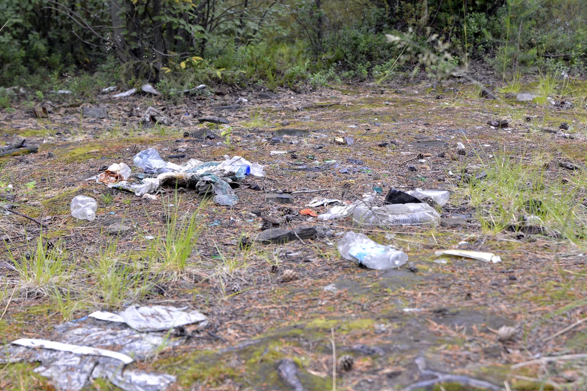 Volunteers Collect 2 Tons of Plastic Pollution from 'Pristine' Russian Arctic 