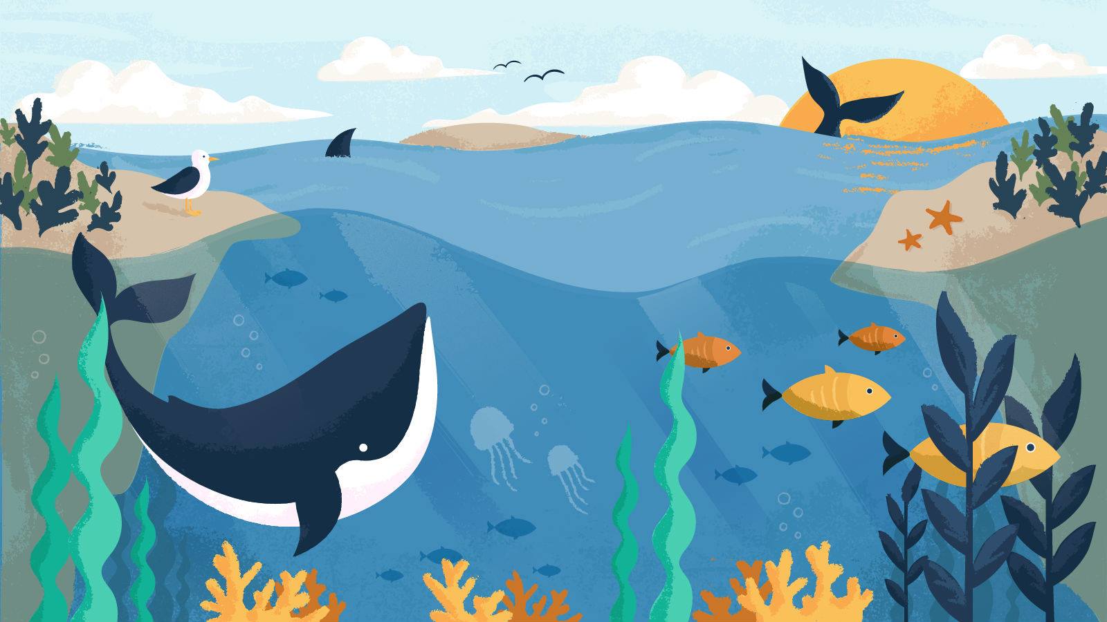 Plastic Pollution? It's #NotWhaleFood