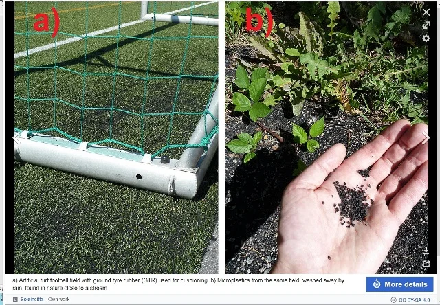 artificial-turf-pic-wiki.jpg