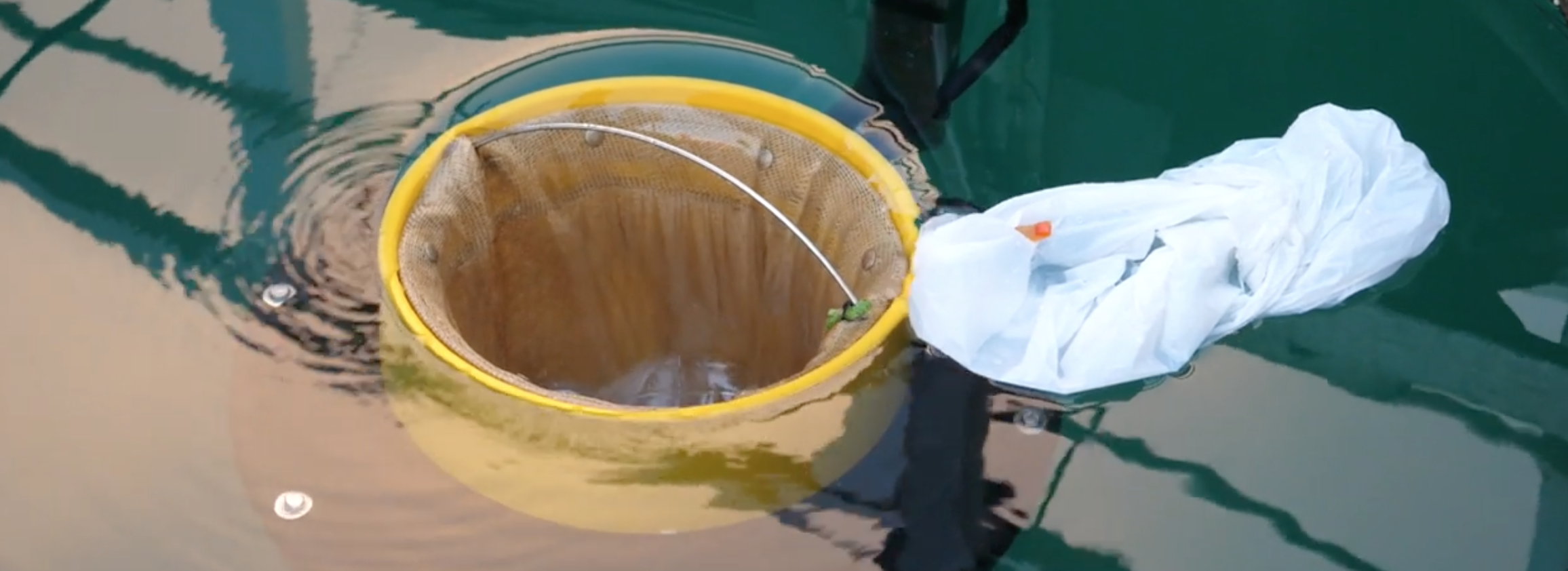 The Giant Sucking Sound