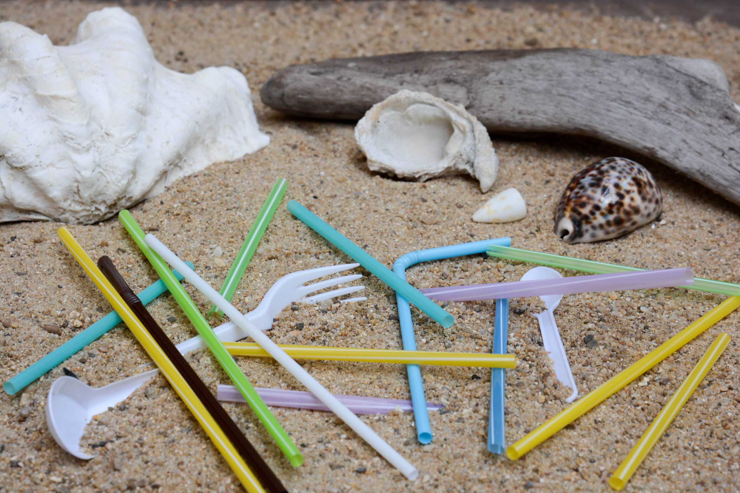 The Straws Bill California Should Pass