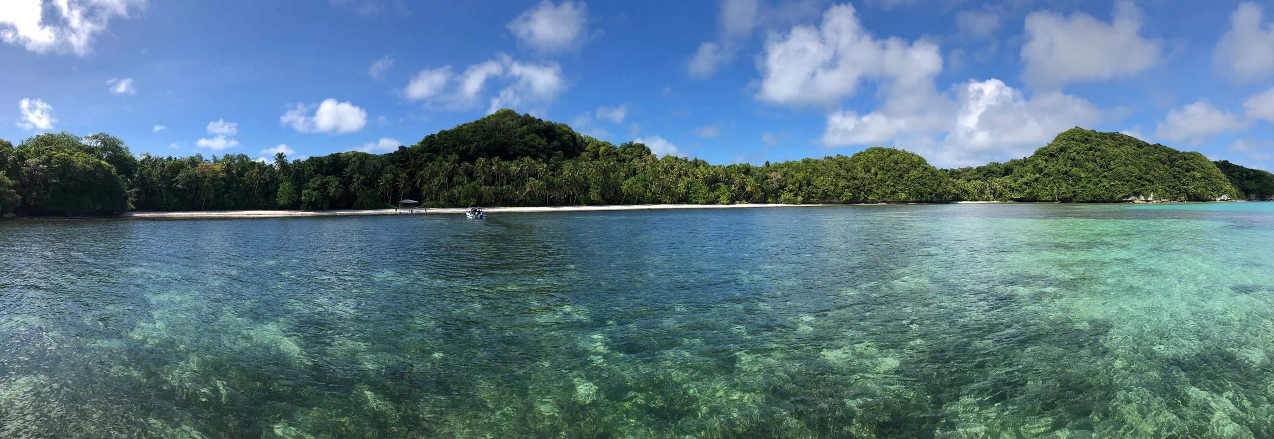 Exploring Solutions to Plastic Pollution in Palau 