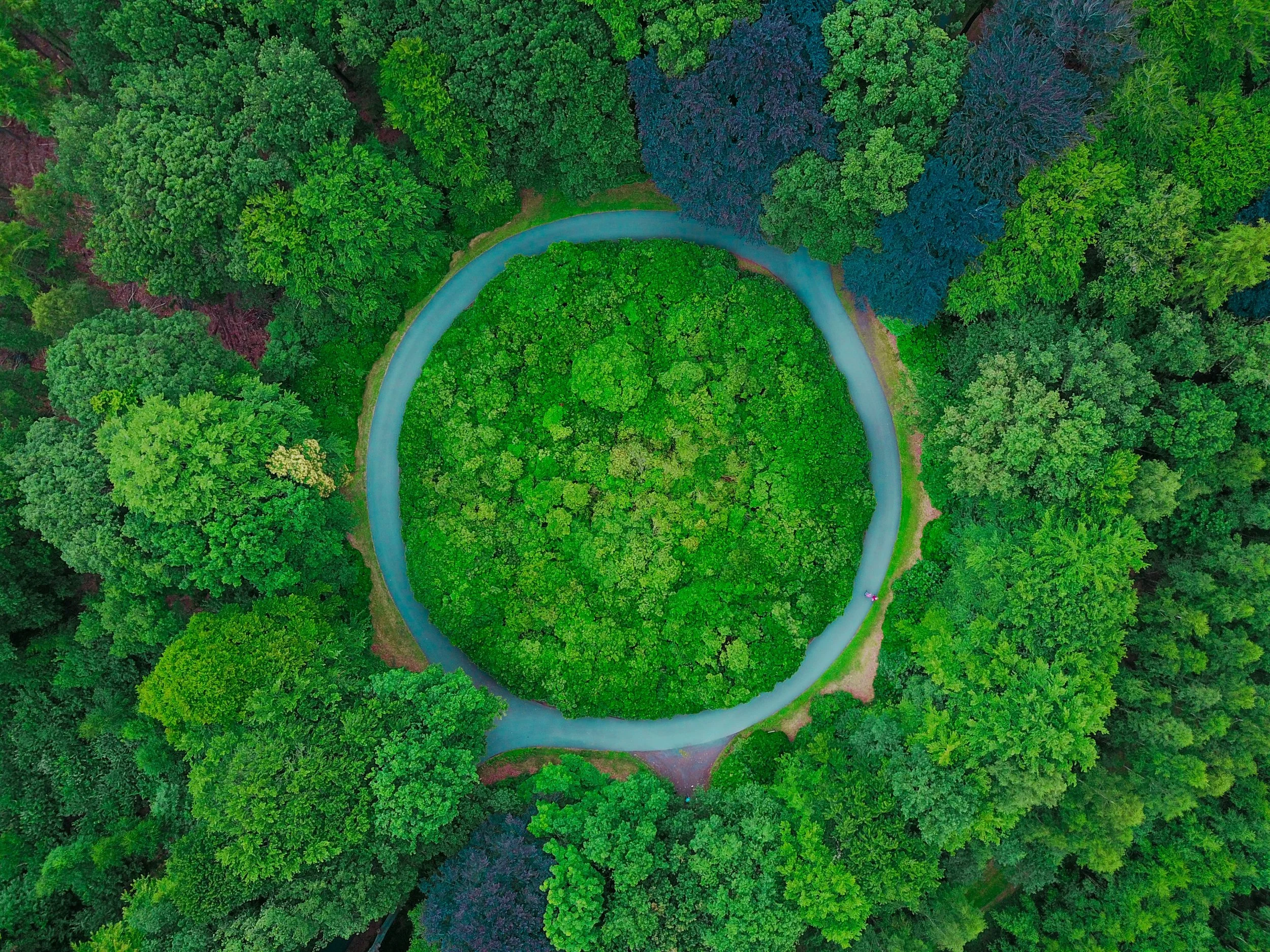 Designing for the Circular Economy