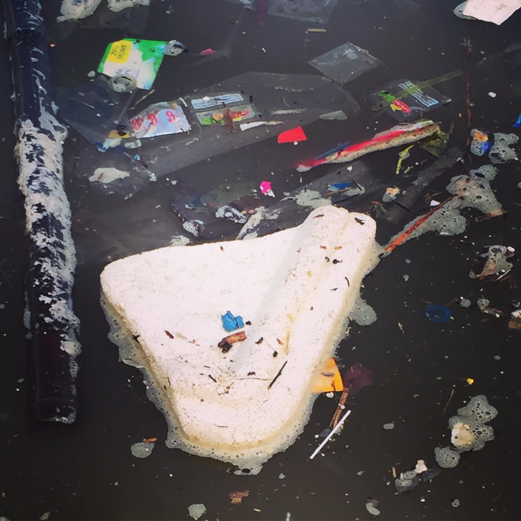 Dear NFL: Please Protect the Ocean from Plastic Pollution