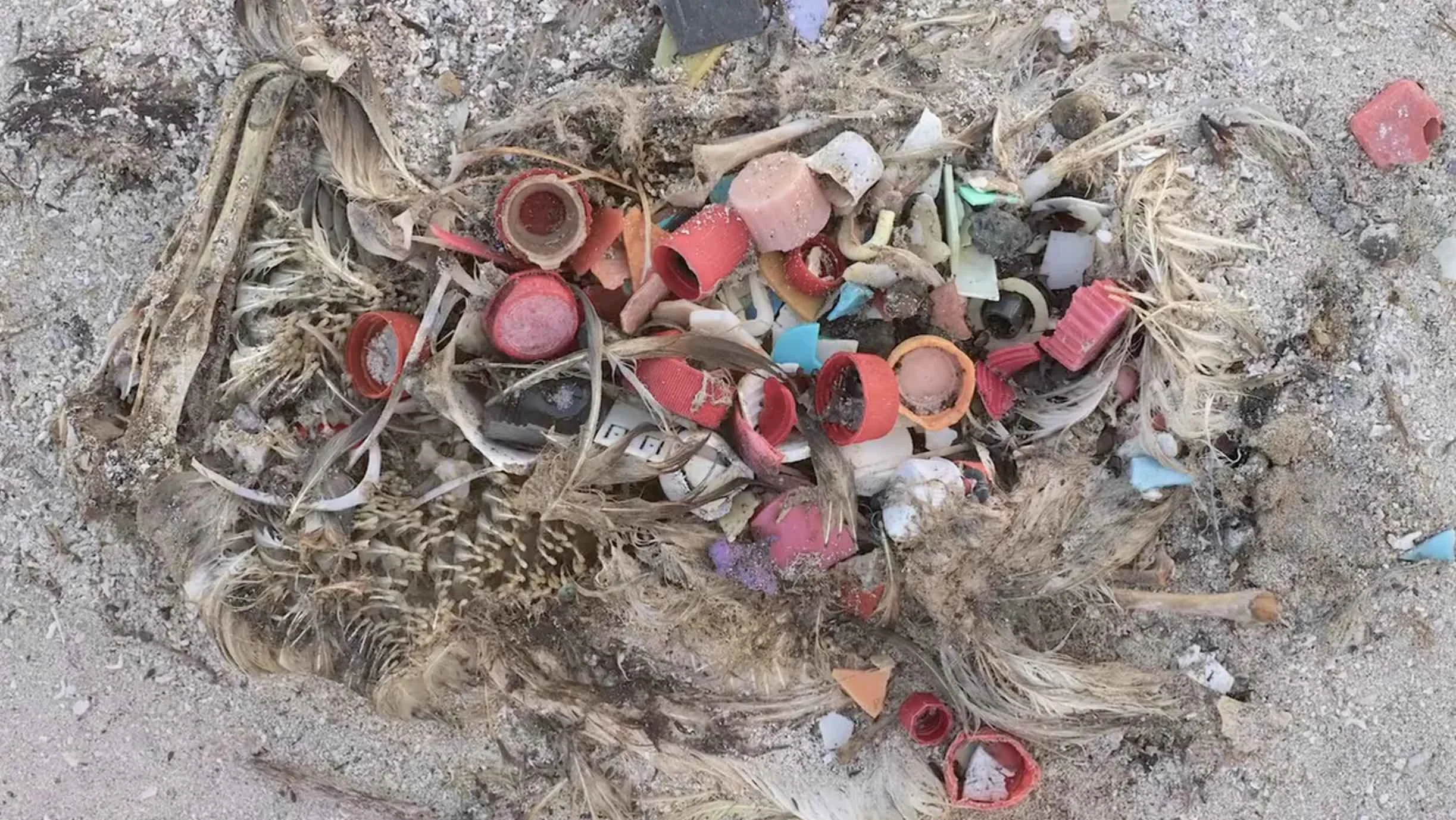 Art Responding To Art: Poetry and Plastic