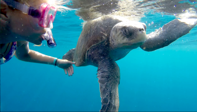 Watch 'Straws' Film for Free