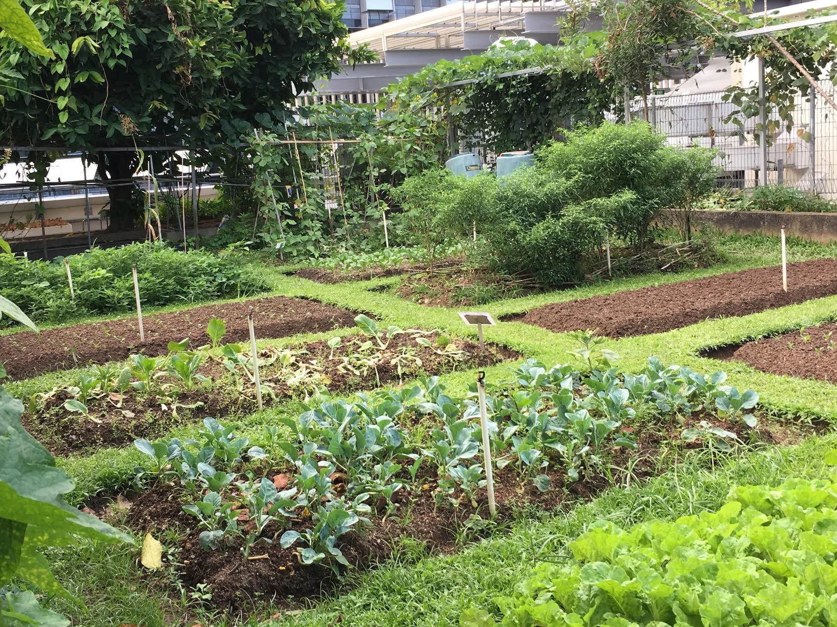 Health Care Without Harm Asia Focuses on Procurement, Plastic Pollution, Air Pollution