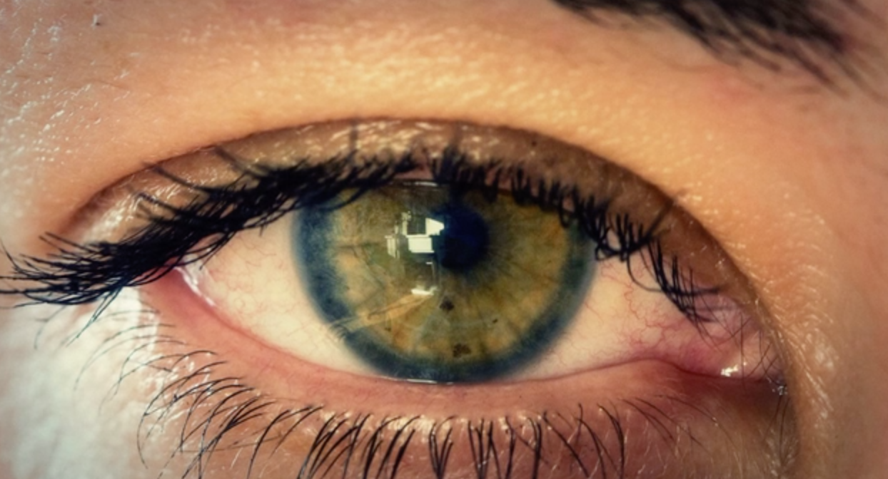 Plastic Pollution Coalition Partners with DUZY to Stop Plastic Pollution