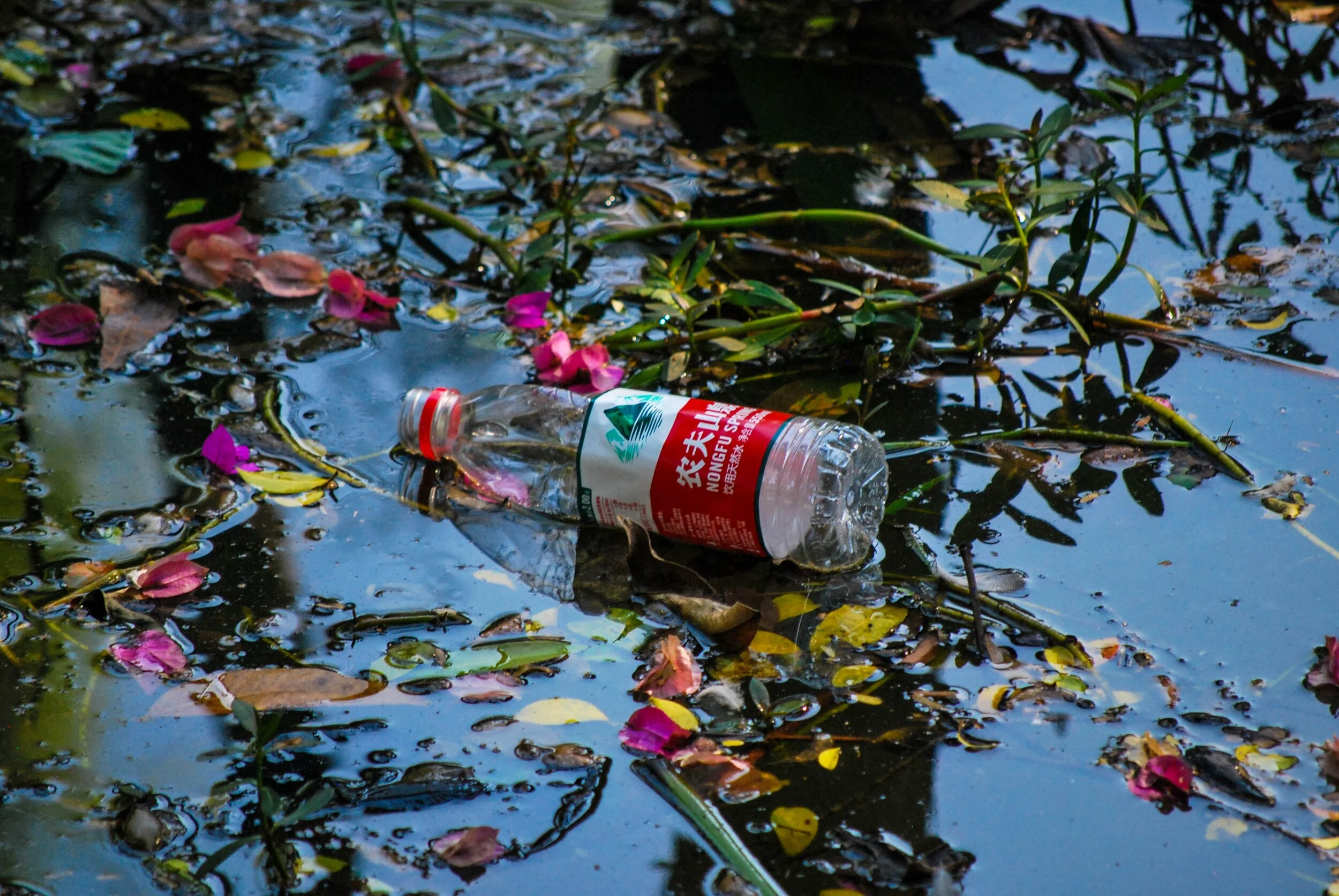 NEW: China Commits to Phase Out Production of Many Single-Use Plastics