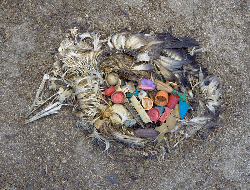 Historic ‘Break Free From Plastic Pollution Act’ to Address the Plastic Pollution Crisis