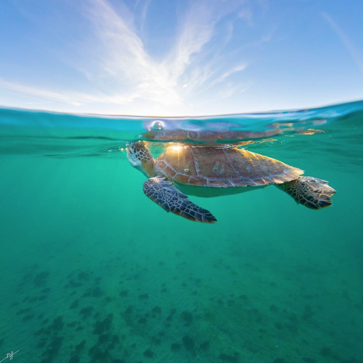 Listen, Learn, and Act on World Oceans Day